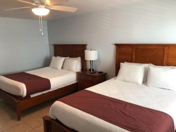 Beachgate Condosuites And Oceanfront Resort Port Aransas Bilik gambar